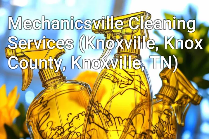 Mechanicsville Cleaning Services (Knoxville, Knox County, Knoxville, TN)