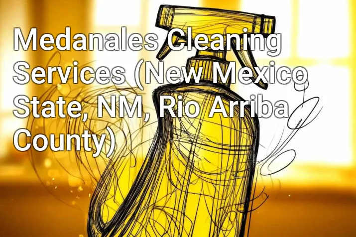 Medanales Cleaning Services (New Mexico State, NM, Rio Arriba County)