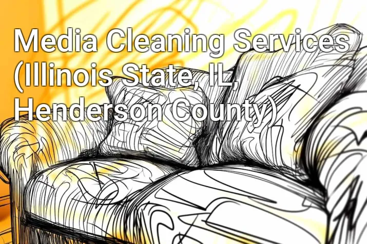 Media Cleaning Services (Illinois State, IL, Henderson County)