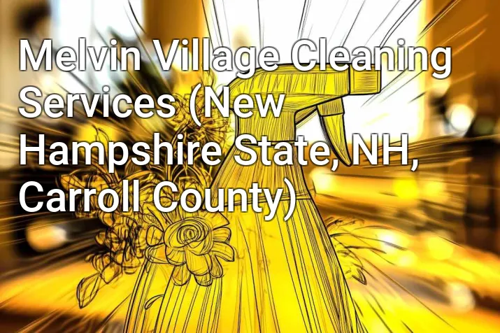 Melvin Village Cleaning Services (New Hampshire State, NH, Carroll County)