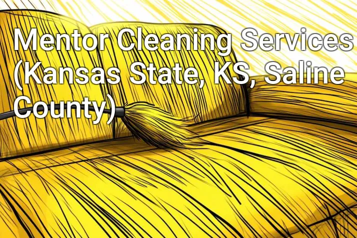 Mentor Cleaning Services (Kansas State, KS, Saline County)