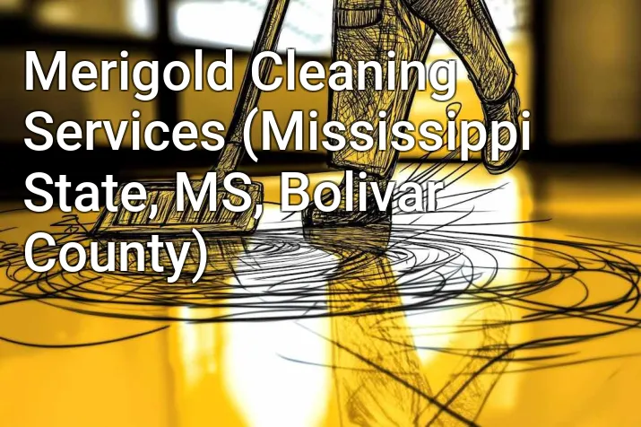 Merigold Cleaning Services (Mississippi State, MS, Bolivar County)