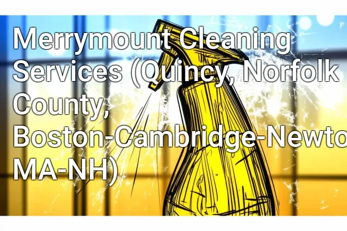 Merrymount Cleaning Services (Quincy, Norfolk County, Boston-Cambridge-Newton, MA-NH)