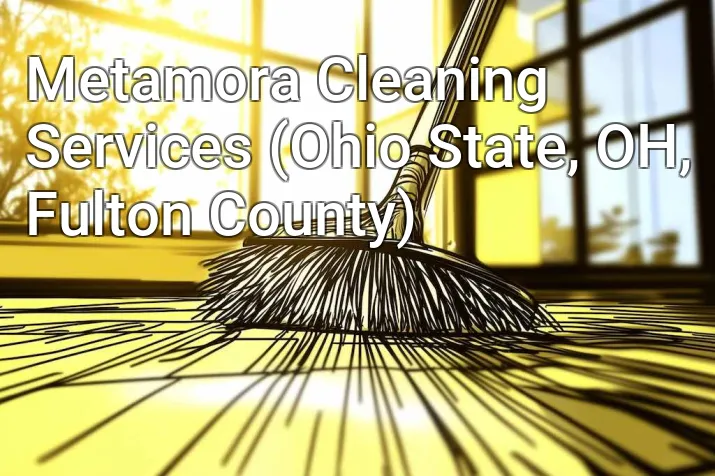 Metamora Cleaning Services (Ohio State, OH, Fulton County)