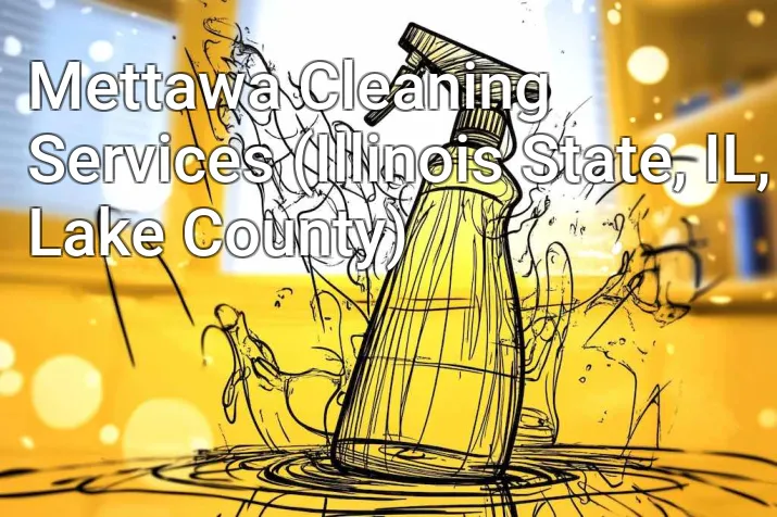 Mettawa Cleaning Services (Illinois State, IL, Lake County)