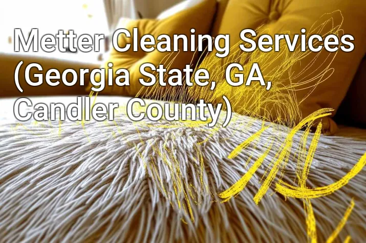 Metter Cleaning Services (Georgia State, GA, Candler County)