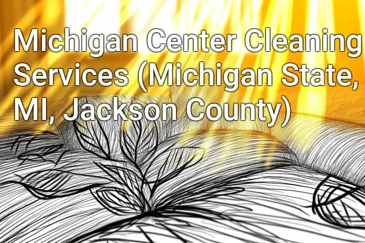 Michigan Center Cleaning Services (Michigan State, MI, Jackson County)