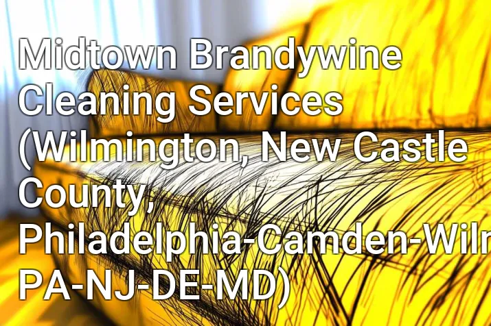 Midtown Brandywine Cleaning Services (Wilmington, New Castle County, Philadelphia-Camden-Wilmington, PA-NJ-DE-MD)