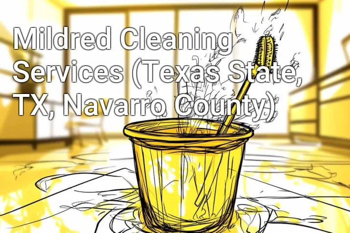 Mildred Cleaning Services (Texas State, TX, Navarro County)