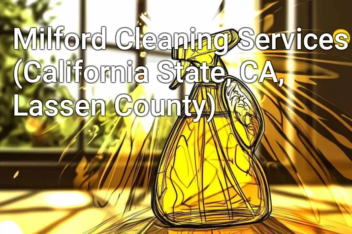 Milford Cleaning Services (California State, CA, Lassen County)
