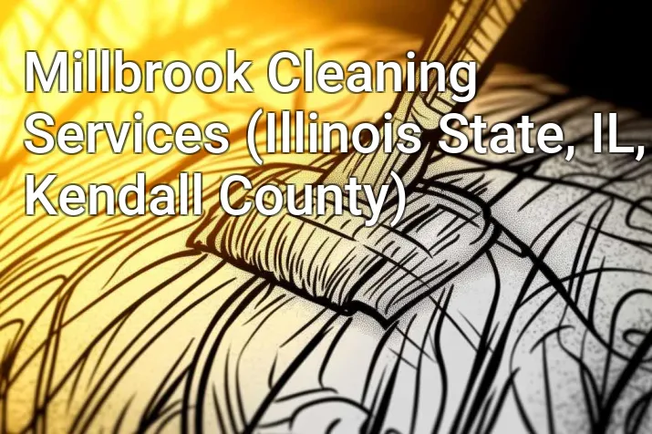 Millbrook Cleaning Services (Illinois State, IL, Kendall County)