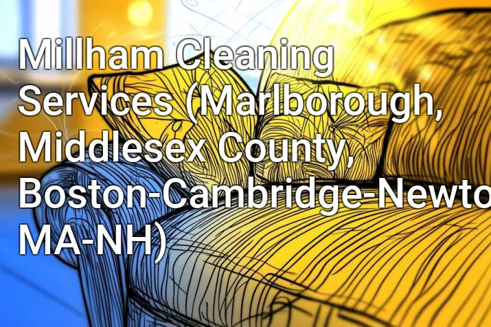Millham Cleaning Services (Marlborough, Middlesex County, Boston-Cambridge-Newton, MA-NH)
