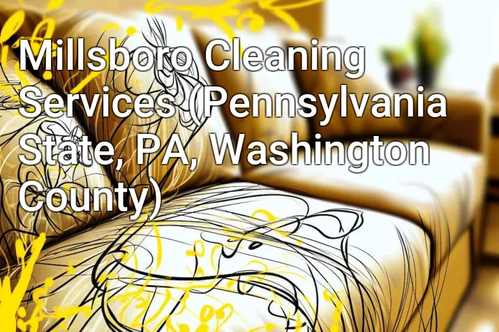 Millsboro Cleaning Services (Pennsylvania State, PA, Washington County)