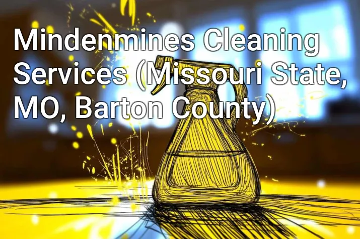 Mindenmines Cleaning Services (Missouri State, MO, Barton County)