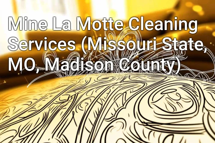 Mine La Motte Cleaning Services (Missouri State, MO, Madison County)