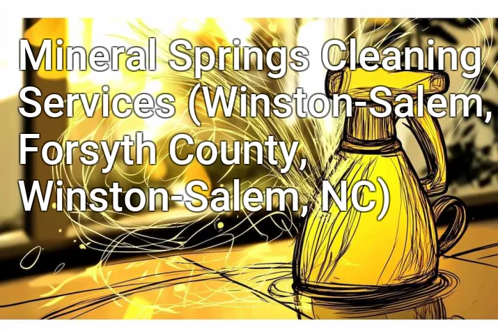 Mineral Springs Cleaning Services (Winston-Salem, Forsyth County, Winston-Salem, NC)