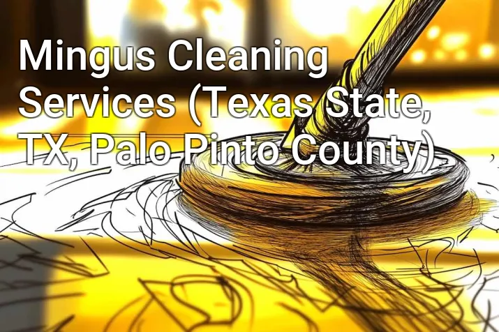 Mingus Cleaning Services (Texas State, TX, Palo Pinto County)