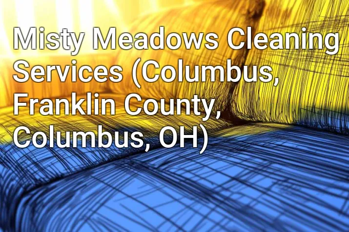 Misty Meadows Cleaning Services (Columbus, Franklin County, Columbus, OH)