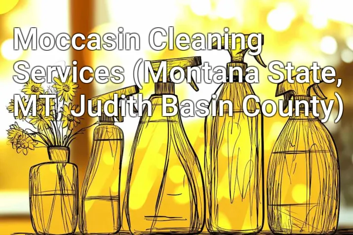 Moccasin Cleaning Services (Montana State, MT, Judith Basin County)