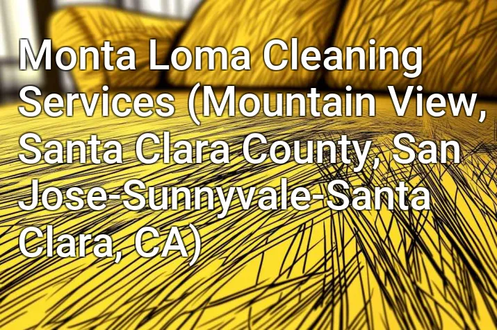 Monta Loma Cleaning Services (Mountain View, Santa Clara County, San Jose-Sunnyvale-Santa Clara, CA)
