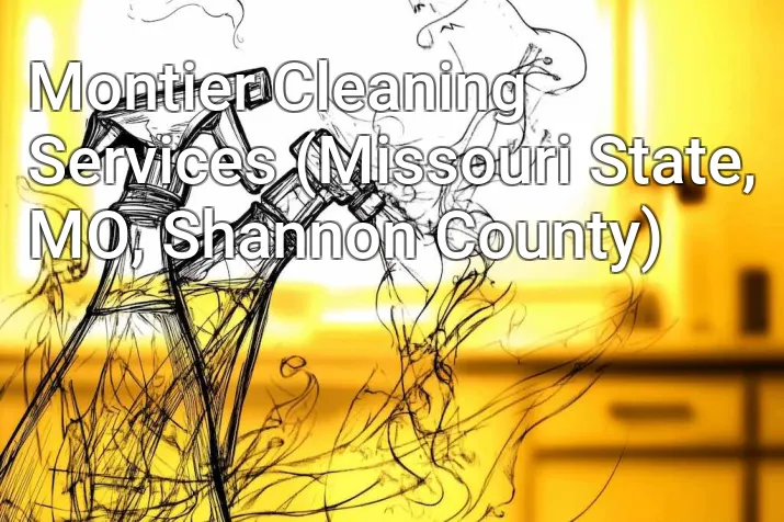 Montier Cleaning Services (Missouri State, MO, Shannon County)