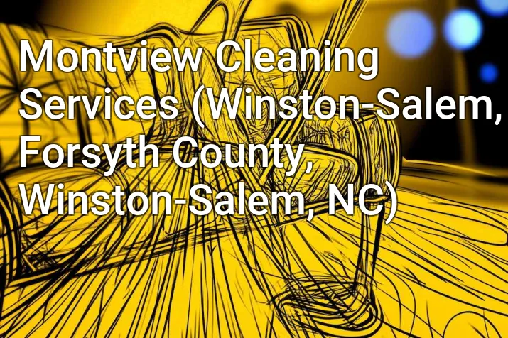 Montview Cleaning Services (Winston-Salem, Forsyth County, Winston-Salem, NC)