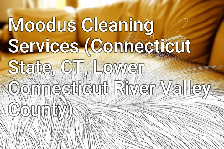 Moodus Cleaning Services (Connecticut State, CT, Lower Connecticut River Valley County)