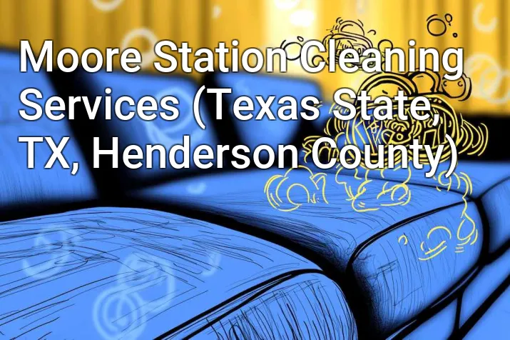 Moore Station Cleaning Services (Texas State, TX, Henderson County)