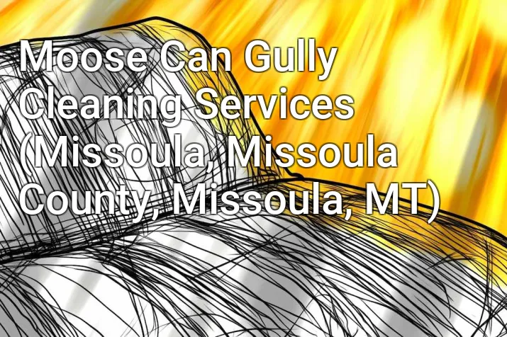 Moose Can Gully Cleaning Services (Missoula, Missoula County, Missoula, MT)