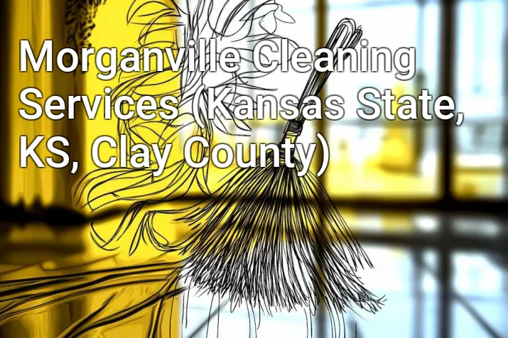 Morganville Cleaning Services (Kansas State, KS, Clay County)