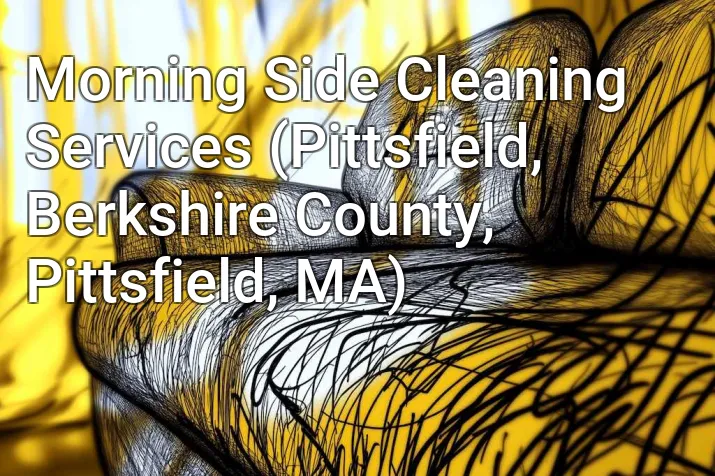 Morning Side Cleaning Services (Pittsfield, Berkshire County, Pittsfield, MA)