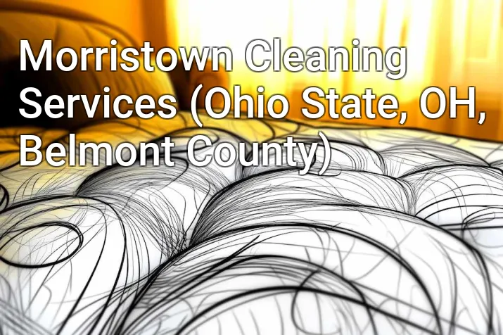 Morristown Cleaning Services (Ohio State, OH, Belmont County)