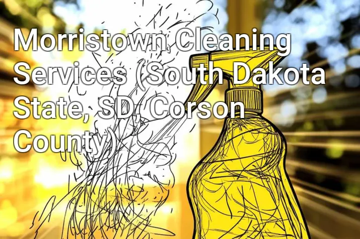 Morristown Cleaning Services (South Dakota State, SD, Corson County)