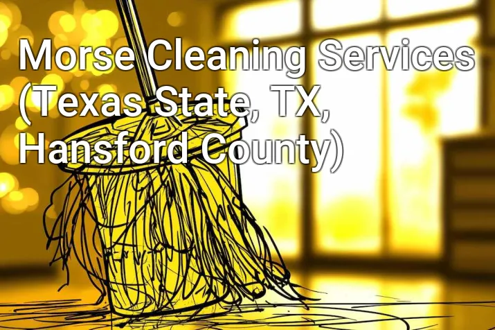 Morse Cleaning Services (Texas State, TX, Hansford County)