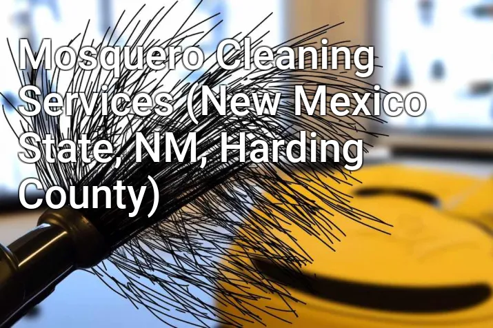 Mosquero Cleaning Services (New Mexico State, NM, Harding County)