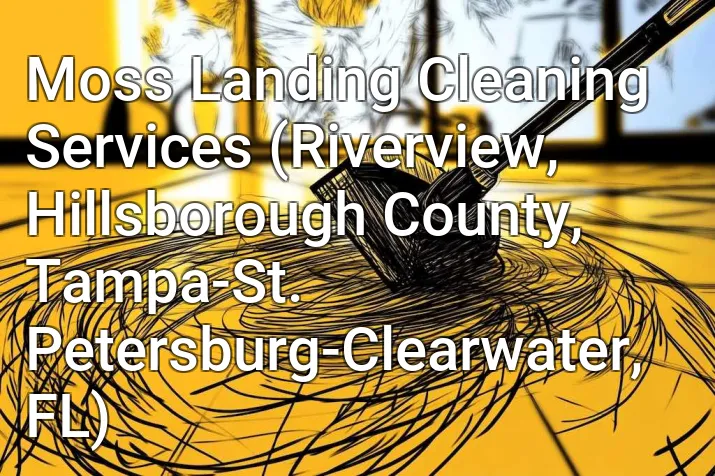 Moss Landing Cleaning Services (Riverview, Hillsborough County, Tampa-St. Petersburg-Clearwater, FL)