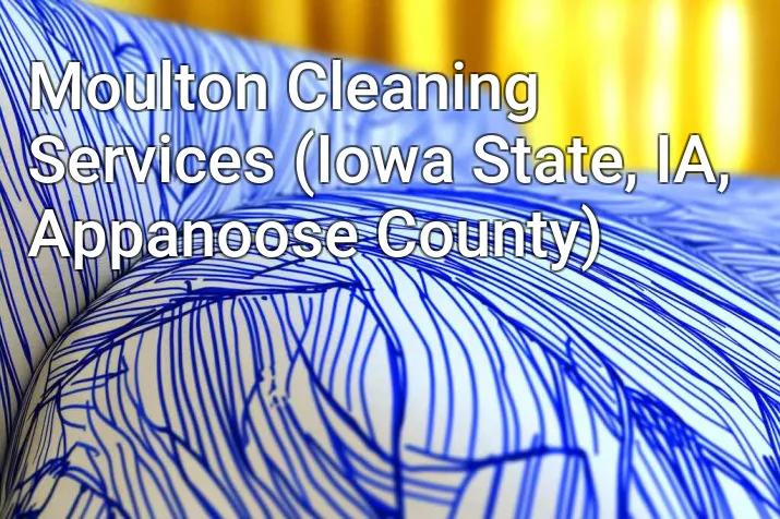 Moulton Cleaning Services (Iowa State, IA, Appanoose County)