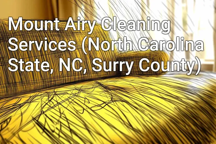 Mount Airy Cleaning Services (North Carolina State, NC, Surry County)