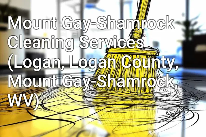 Mount Gay-Shamrock Cleaning Services (Logan, Logan County, Mount Gay-Shamrock, WV)