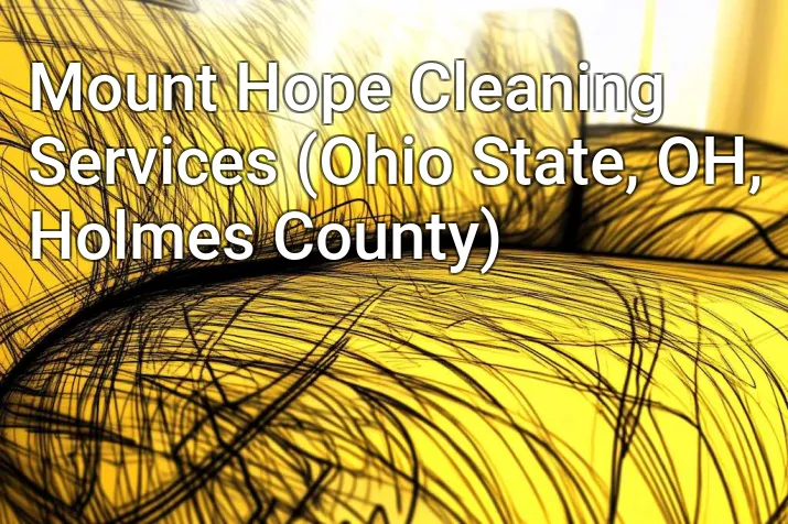 Mount Hope Cleaning Services (Ohio State, OH, Holmes County)