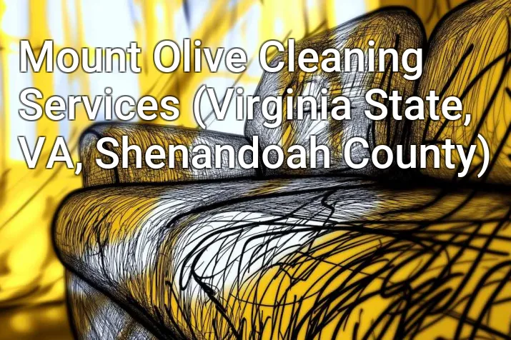 Mount Olive Cleaning Services (Virginia State, VA, Shenandoah County)