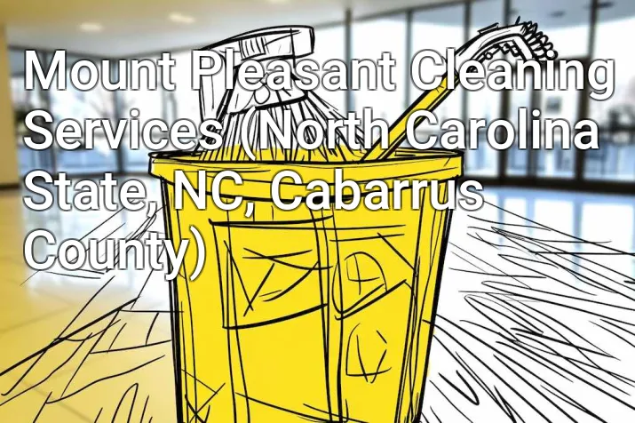 Mount Pleasant Cleaning Services (North Carolina State, NC, Cabarrus County)