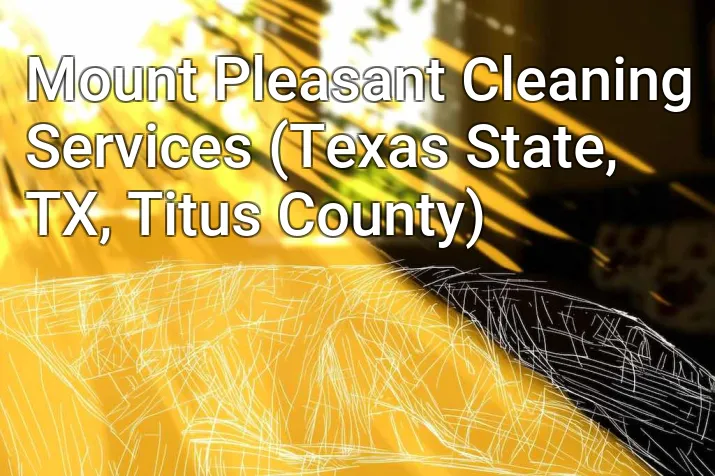 Mount Pleasant Cleaning Services (Texas State, TX, Titus County)