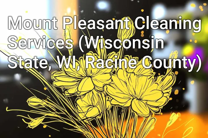 Mount Pleasant Cleaning Services (Wisconsin State, WI, Racine County)