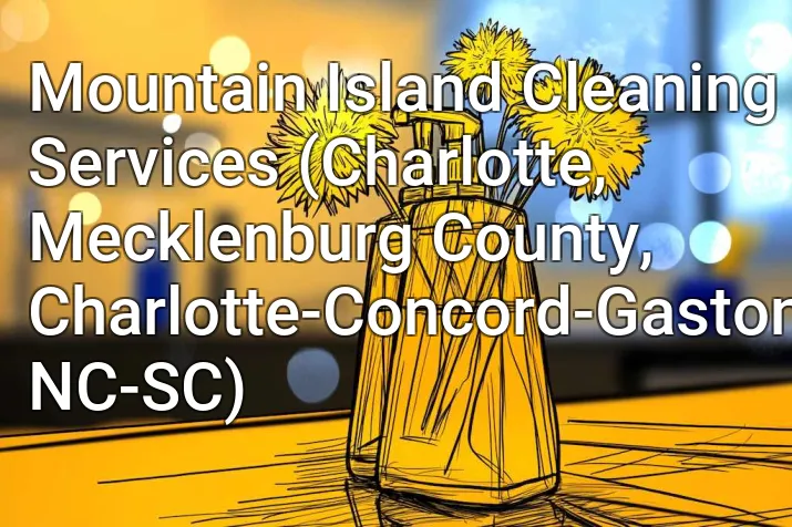 Mountain Island Cleaning Services (Charlotte, Mecklenburg County, Charlotte-Concord-Gastonia, NC-SC)