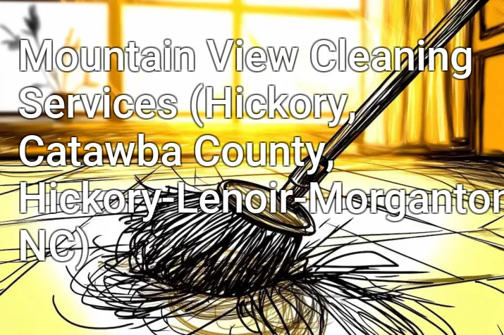 Mountain View Cleaning Services (Hickory, Catawba County, Hickory-Lenoir-Morganton, NC)