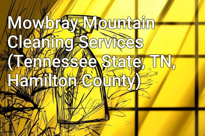 Mowbray Mountain Cleaning Services (Tennessee State, TN, Hamilton County)