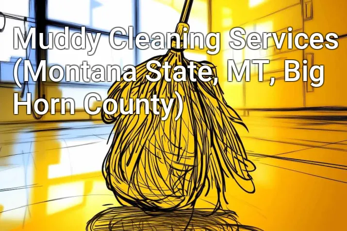 Muddy Cleaning Services (Montana State, MT, Big Horn County)