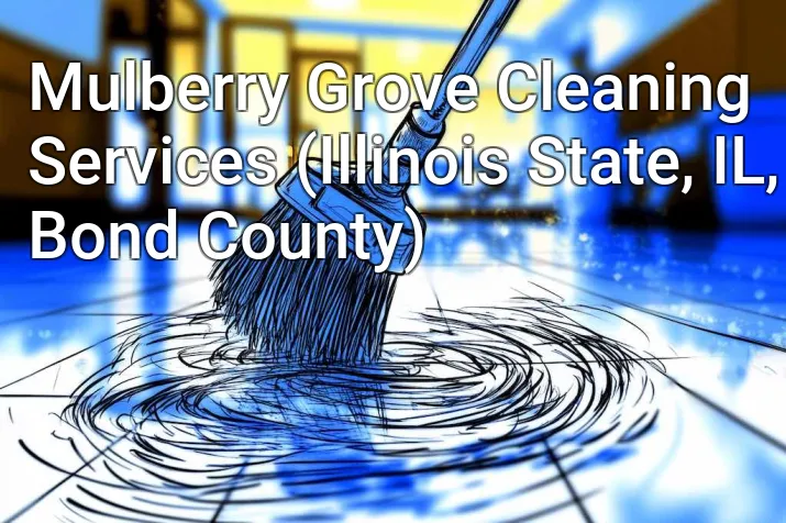 Mulberry Grove Cleaning Services (Illinois State, IL, Bond County)