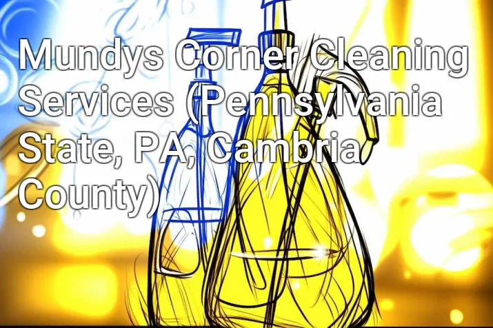 Mundys Corner Cleaning Services (Pennsylvania State, PA, Cambria County)
